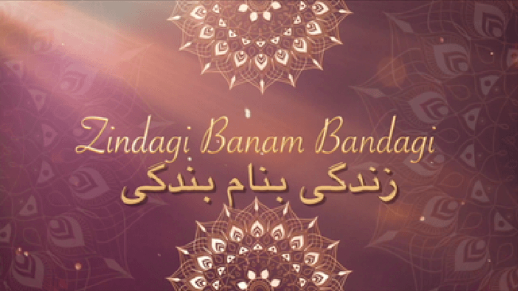 Zindagi Banam Bandagi